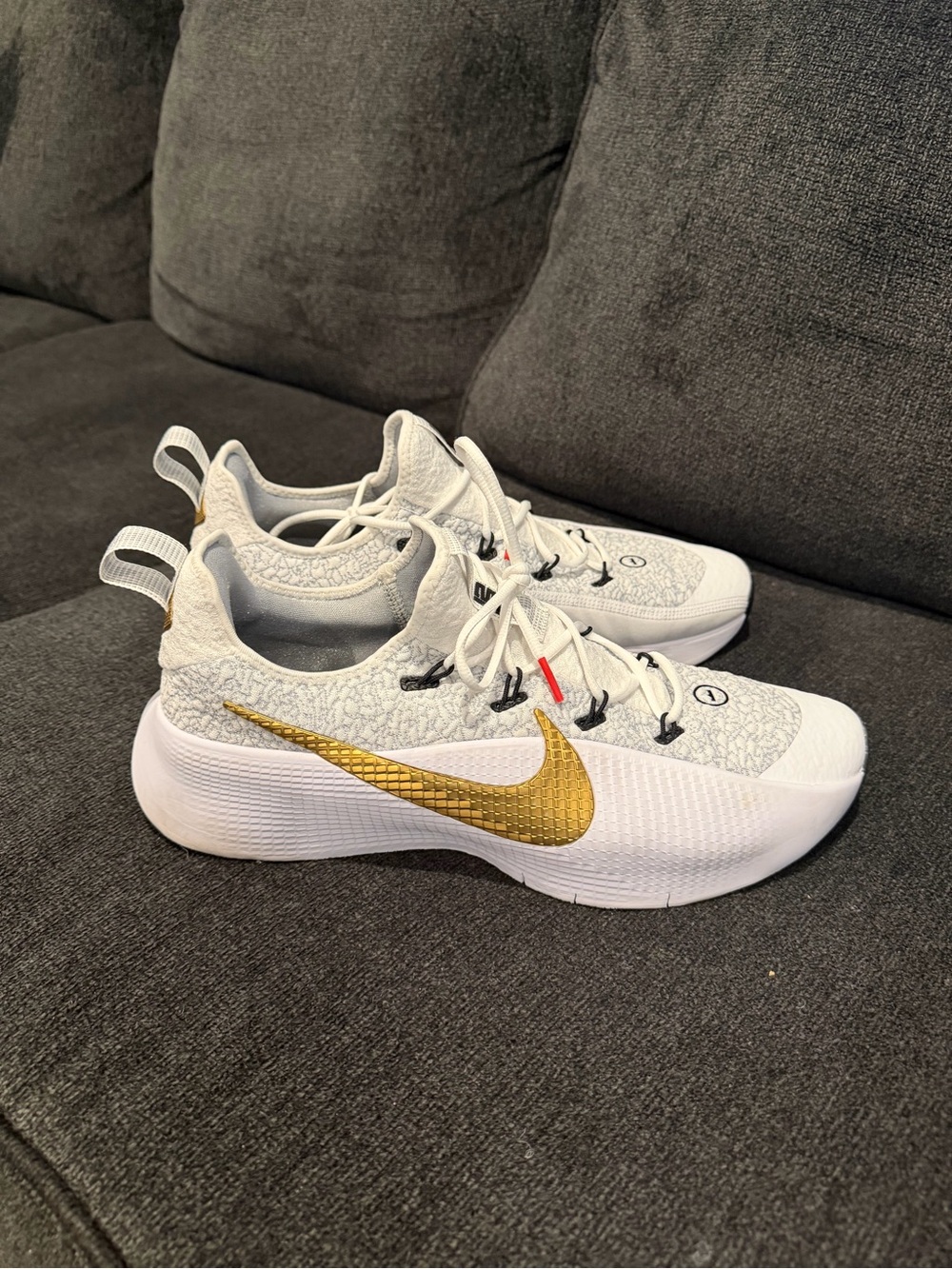 Nike LeBron TR 1